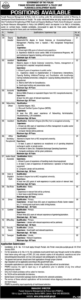 Govt Of Punjab Resource Management & Policy Unit Vacancies 2024